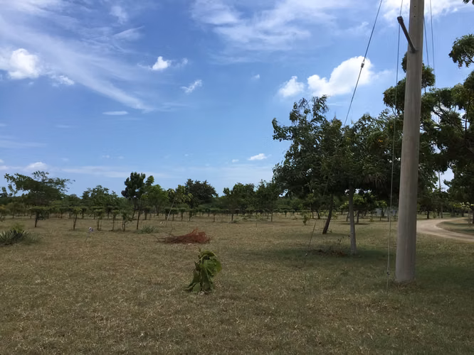 AL 1846 Finca del Mar SPECIAL OFFER - Imagen 7