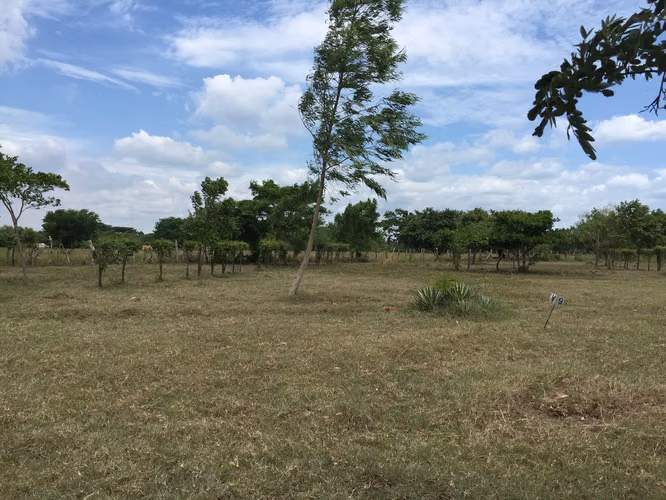 AL 1846 Finca del Mar SPECIAL OFFER - Imagen 3