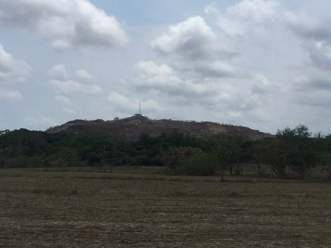 AL  acres ready to be developed - Imagen 8