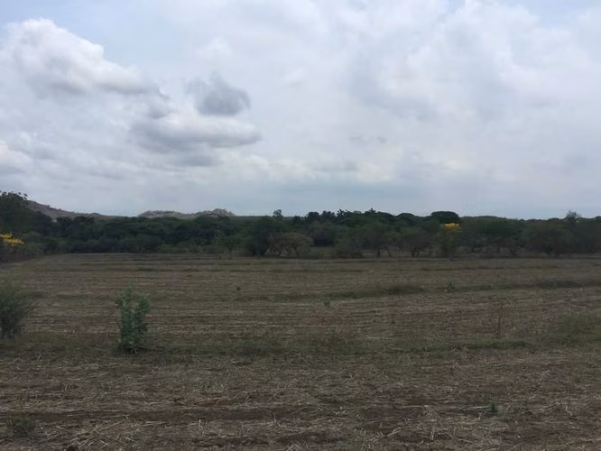 AL  acres ready to be developed - Imagen 4
