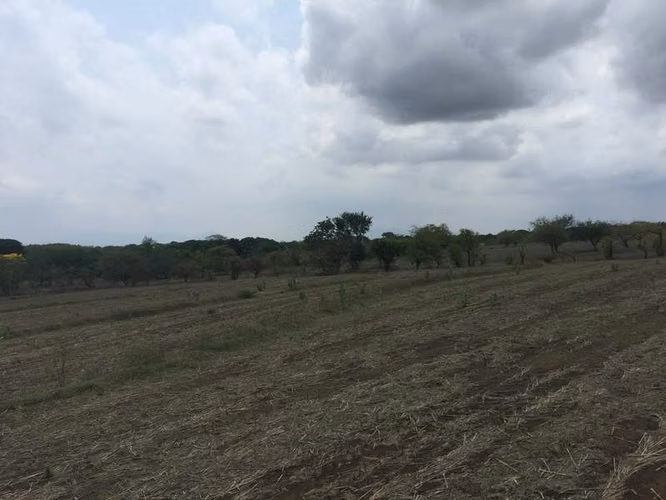 AL  acres ready to be developed - Imagen 5