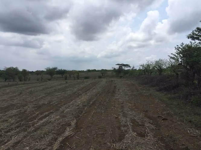 AL  acres ready to be developed - Imagen 6
