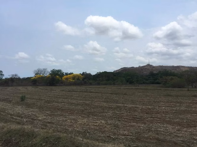 AL  acres ready to be developed - Imagen 7