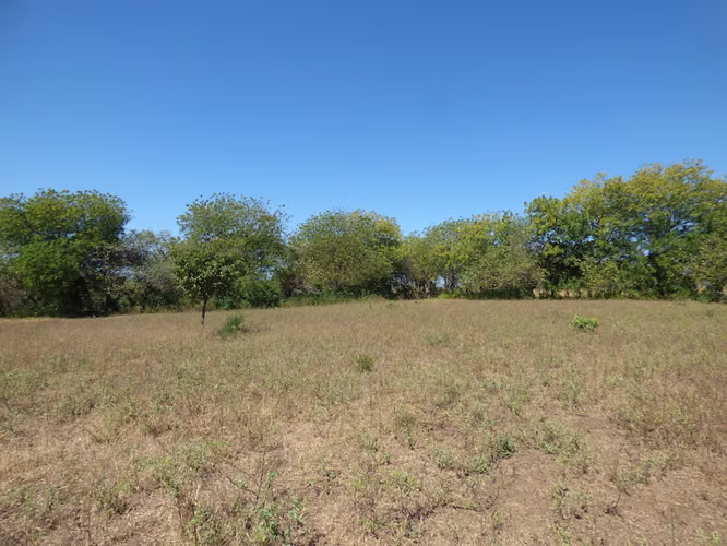 AL 1722 Ocean Front Farm - Imagen 5
