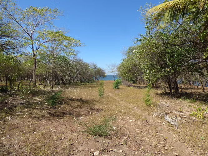 AL 1722 Ocean Front Farm - Imagen 6