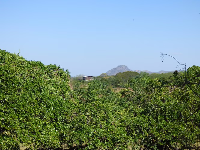 AL 1722 Ocean Front Farm - Imagen 7