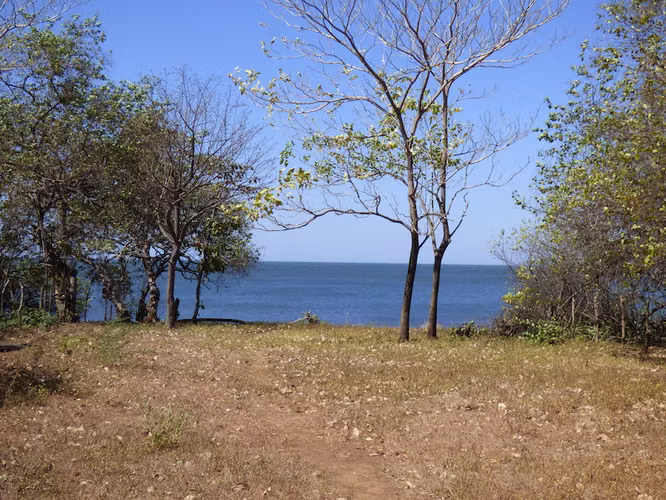 AL 1722 Ocean Front Farm