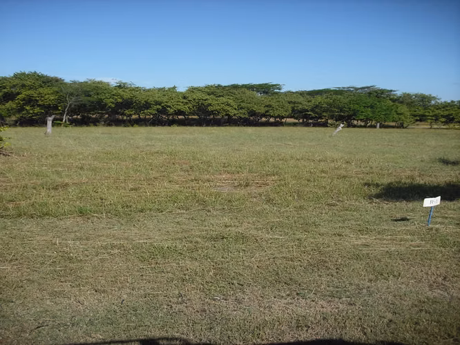 AL 1709 Finca Del Mar Lot - Imagen 3