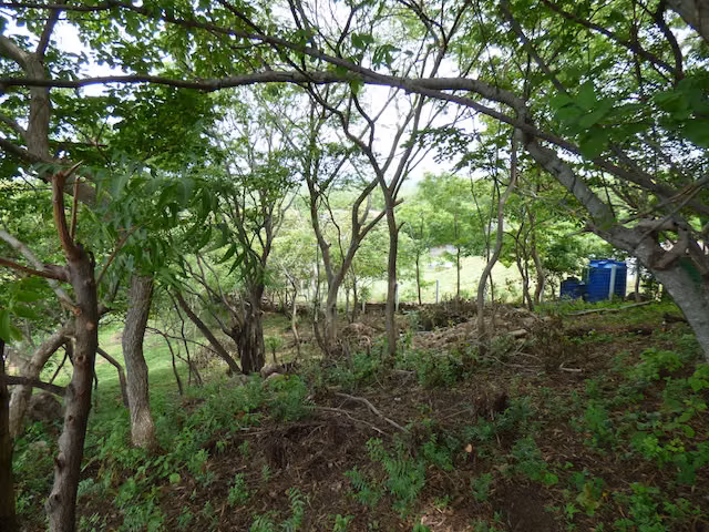 AL 1669 Hilltop Poneloya Lots - Imagen 6