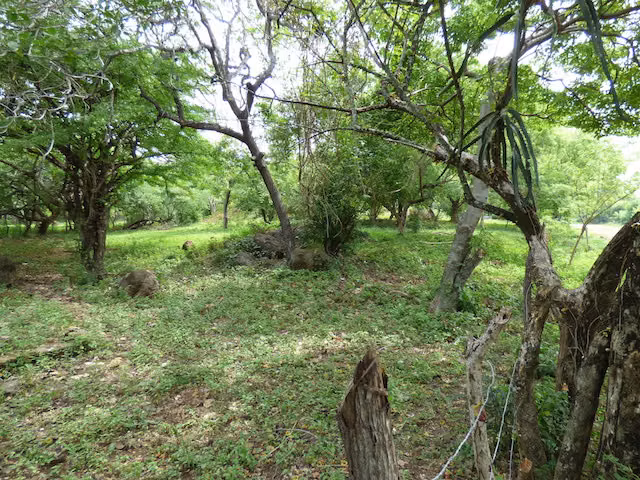 Al 1668 Affordable Poneloya Ocean View Lots - Imagen 3