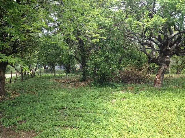 Al 1668 Affordable Poneloya Ocean View Lots - Imagen 4