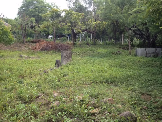 Al 1668 Affordable Poneloya Ocean View Lots - Imagen 5