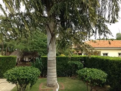 AL 1637 Gorgeous 4 BR Home at Gran Pacifica - Imagen 6