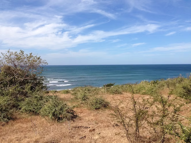 AL 1536 1 Kilometer of Elevated Beachfront - Imagen 2