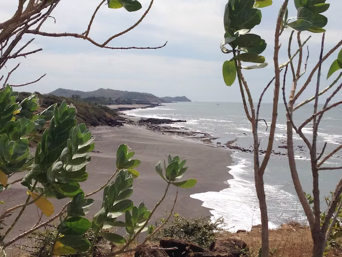 AL 1536 1 Kilometer of Elevated Beachfront - Imagen 1