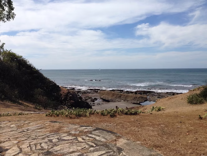 AL 1536 1 Kilometer of Elevated Beachfront - Imagen 12