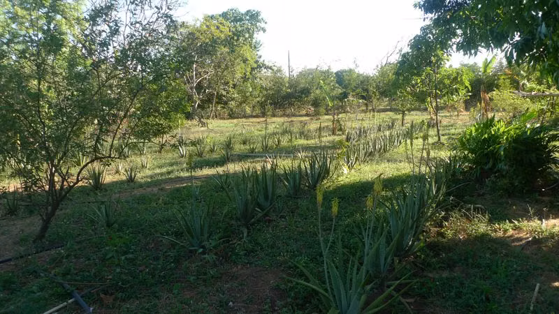 Farm with potential for rural tourism, only 10 minutes from Leon. - Imagen 7