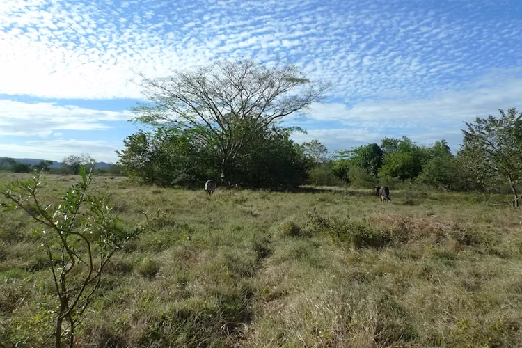 AL 1215  5.22 Acre on the highway to Managua - Imagen 5
