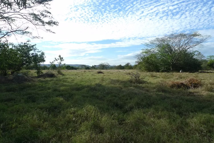 AL 1215  5.22 Acre on the highway to Managua - Imagen 3