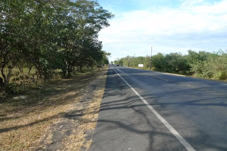 AL 1215  5.22 Acre on the highway to Managua - Imagen 6