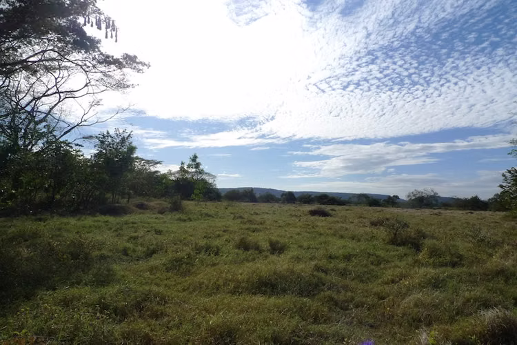 AL 1215  5.22 Acre on the highway to Managua - Imagen 1