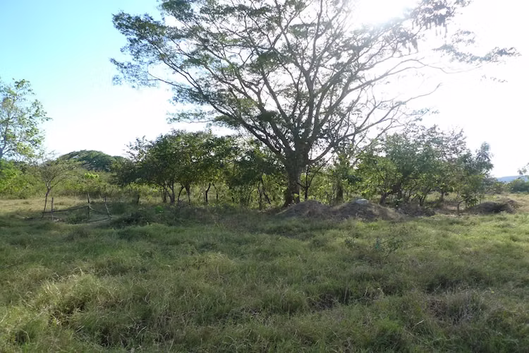 AL 1215  5.22 Acre on the highway to Managua - Imagen 4