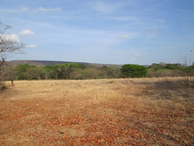 AL 1187  480.24 Acre just 4 miles from Transito Beach - Imagen 3
