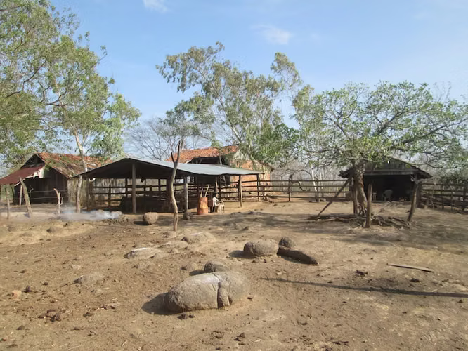 AL 1187  480.24 Acre just 4 miles from Transito Beach - Imagen 5