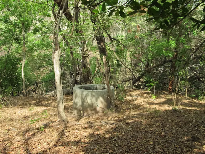 AL 1187  480.24 Acre just 4 miles from Transito Beach - Imagen 6
