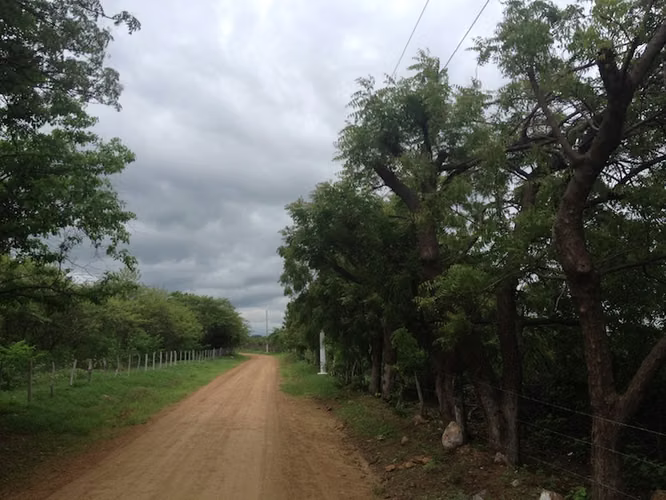AL 989 One acre lots walking distance to great surf - Imagen 2