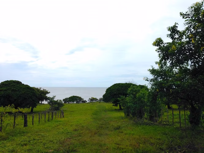 AL 951 One and a half acre beachfront lots - Imagen 7