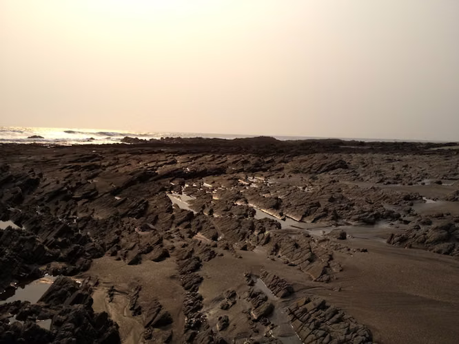 AL 951 One and a half acre beachfront lots - Imagen 6