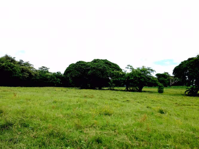 AL 951 One and a half acre beachfront lots - Imagen 8