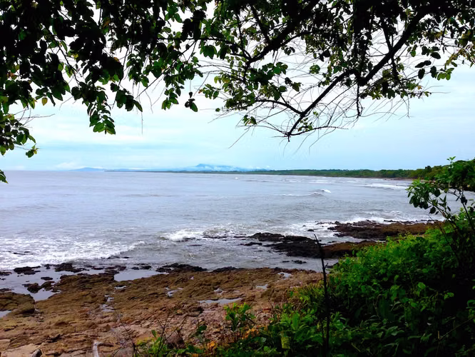 AL 951 One and a half acre beachfront lots - Imagen 2