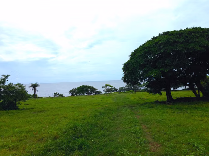AL 951 One and a half acre beachfront lots - Imagen 9