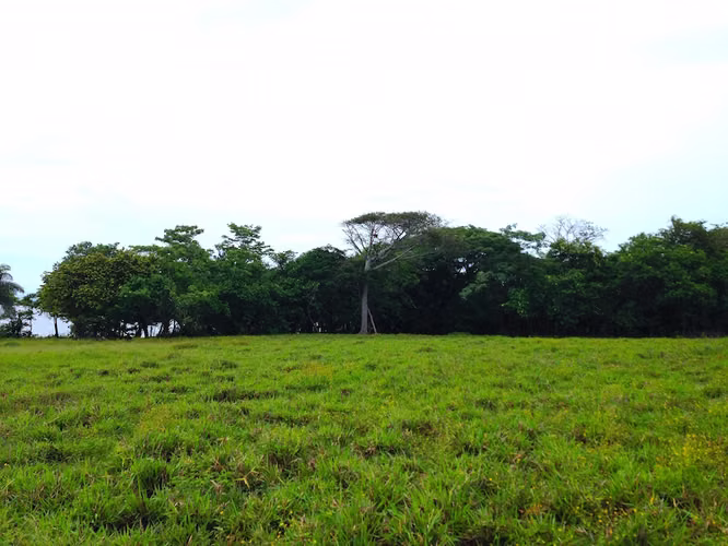 AL 951 One and a half acre beachfront lots - Imagen 10
