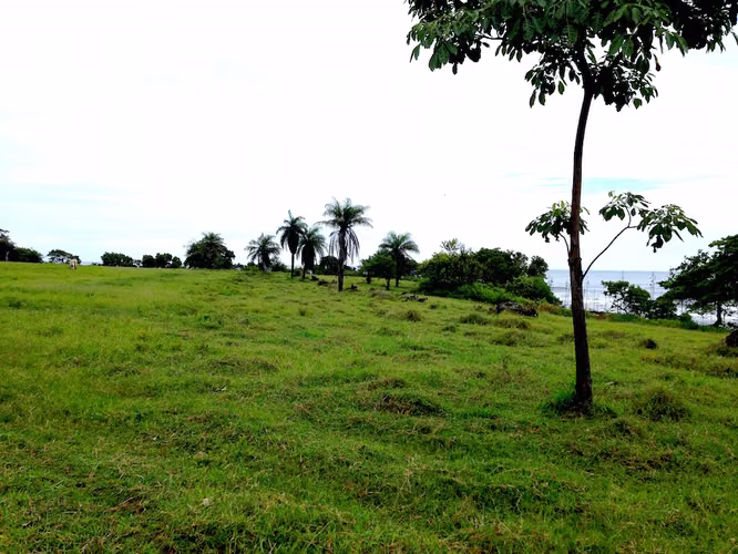 AL 951 One and a half acre beachfront lots - Imagen 3