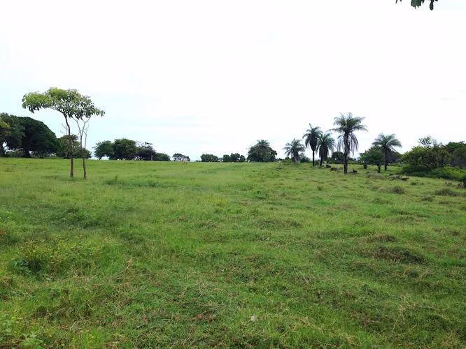 AL 951 One and a half acre beachfront lots - Imagen 5