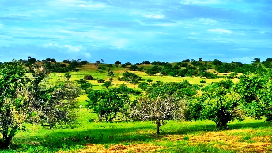 AL 823 Playa Hermosa Development Parcel - Imagen 10