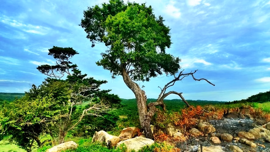 AL 823 Playa Hermosa Development Parcel - Imagen 6