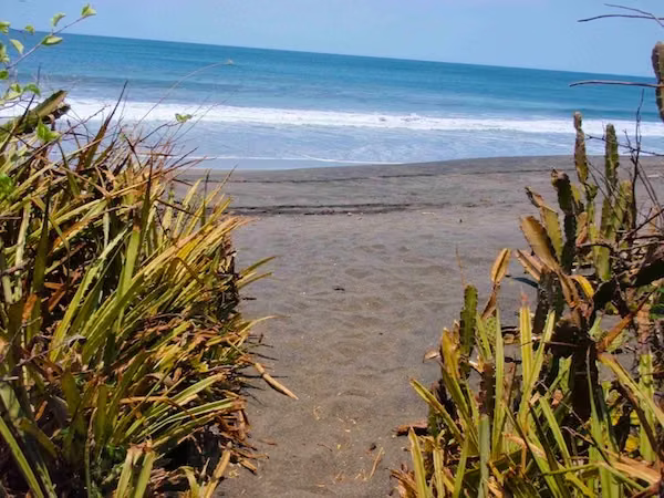 AL 492 Perfect 5.5 Acre Surf Property - Imagen 5