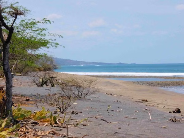 AL 492 Perfect 5.5 Acre Surf Property - Imagen 2