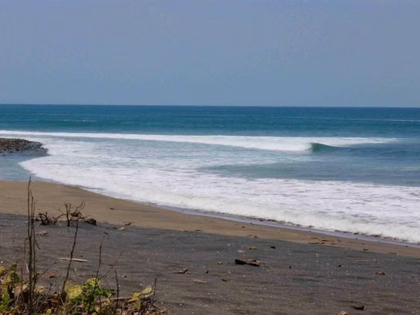 AL 492 Perfect 5.5 Acre Surf Property - Imagen 4