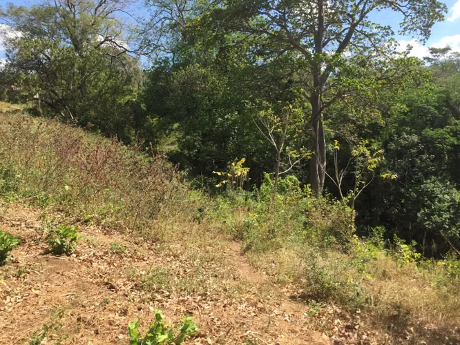 Venta de Terreno en Carretera Sur  - Imagen 10