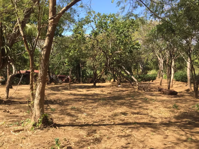 Venta de Terreno en Carretera Sur  - Imagen 13