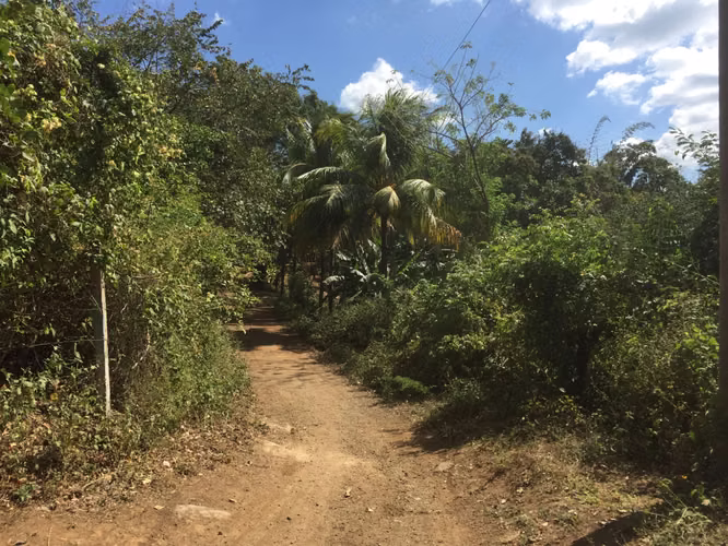 Venta de Terreno en Carretera Sur  - Imagen 19