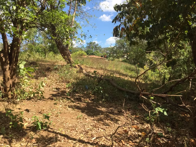 Venta de Terreno en Carretera Sur  - Imagen 7