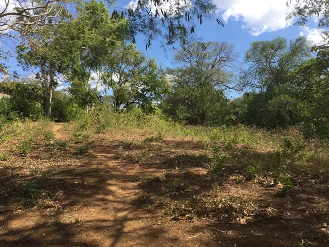 Venta de Terreno en Carretera Sur  - Imagen 4