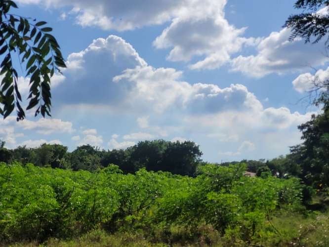 Terreno en Venta - KM 14 Carretera a Masaya - Imagen 3
