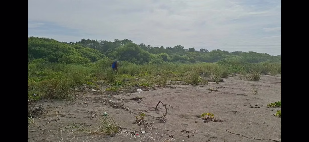 Sell Large land facing the sea